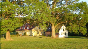 Gut-Rattelvitz-Galerie-F-hochwertig-Sauna-Kamin-eTankstelle-Spielscheune-15-000qm-Park-Land, Gingst